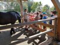 IMG-20220627-WA0001