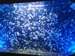 IMG-20221122-WA0010