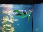IMG-20221122-WA0012
