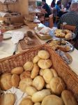 IMG-20230606-WA0021