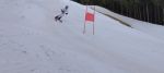 IMG-20240215-WA0010
