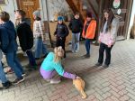 IMG-20240306-WA0004